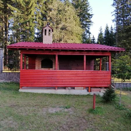 Casa De Vacanta Paraul Rece Extérieur photo